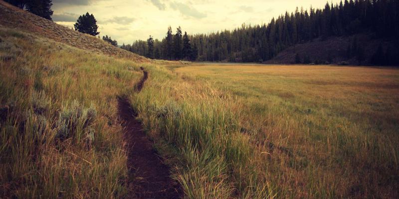 B2C电商如何利用用户生成内容(UGC)构建社会证明与驱动销售：内容营销与网络营销的实战指南