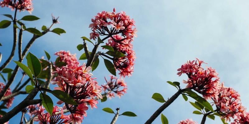 数据驱动智能补货：电子商务库存管理与预测如何提升网络营销与SEO优化效果