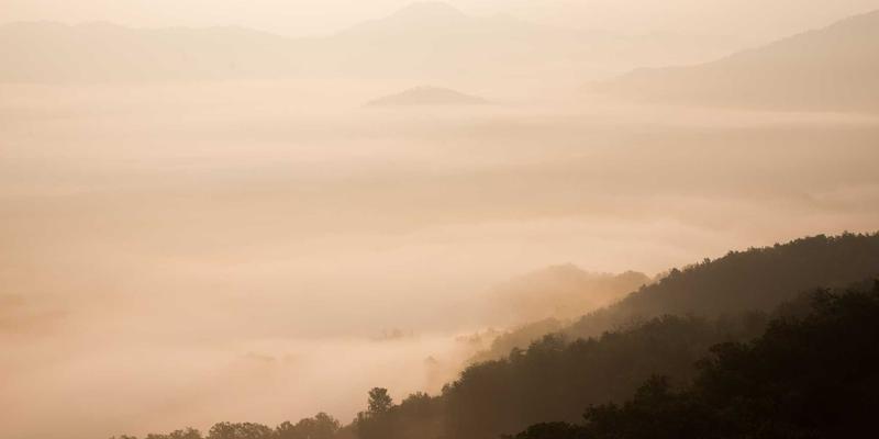 数据驱动未来：基于大数据的电商动态定价策略与竞争分析