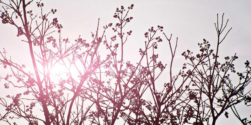 电商会员体系深度运营：提升用户生命周期价值（LTV）的SEO优化策略与在线销售实战方法