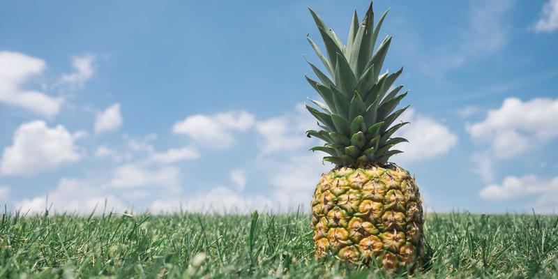 电商供应链金融：缓解中小卖家资金压力的创新模式与在线销售增长策略