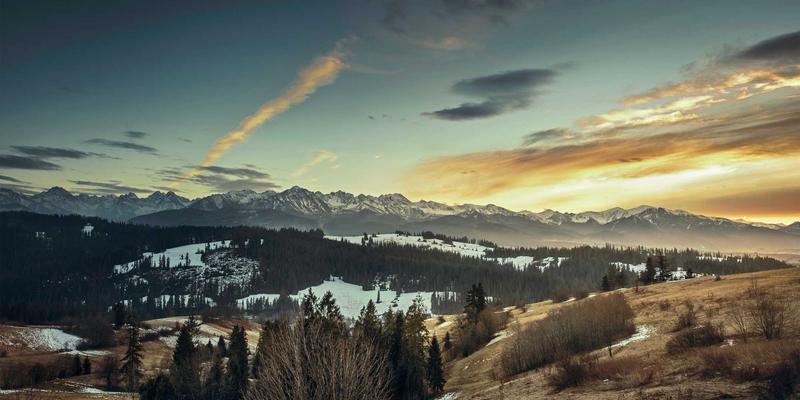 电商平台算法推荐机制揭秘：如何通过SEO优化与内容营销获取精准流量