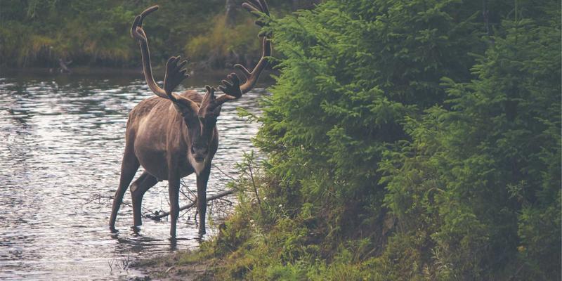 电商策略升级：SEO优化视角下的CRM系统搭建与网络营销整合指南