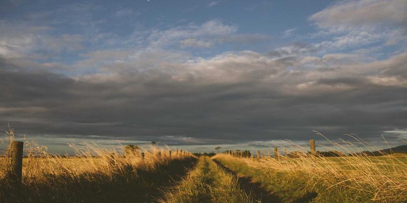 电商订阅制商业模式深度解析：从美妆盒子到生鲜周配的运营策略与社交媒体营销