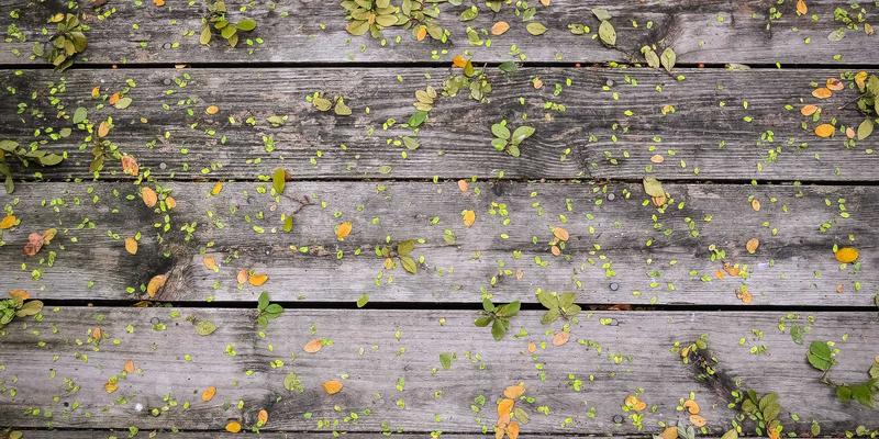 电子商务2.0时代：内容营销、数字营销与电商策略的融合之道