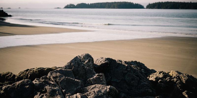 电子商务36：网络营销与社交媒体营销的融合之道