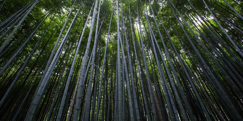 电子商务SEO优化与内容营销融合策略:驱动可持续增长的三大支柱