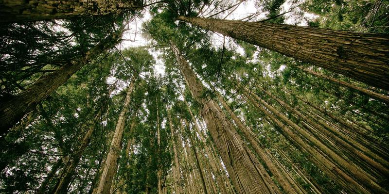 电子商务数据分析：关键指标解读与运营决策指南 | SEO优化与数字营销实战