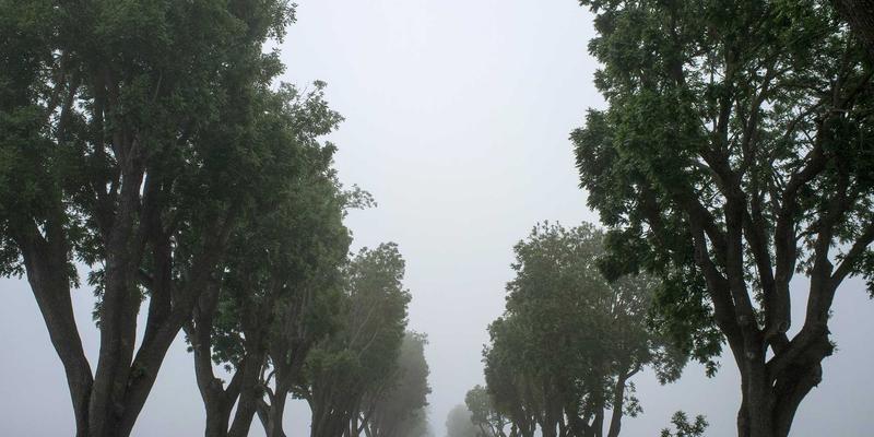 电子商务进化论：数字营销与电商策略如何重塑在线销售新格局