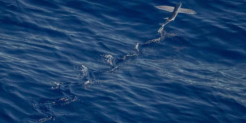 绿色电商策略：从可持续包装到碳足迹追踪的社交媒体营销实践